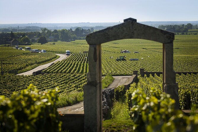 small-group-wine-tasting-tour-cote-de-beaune-and-cote-de-nuits