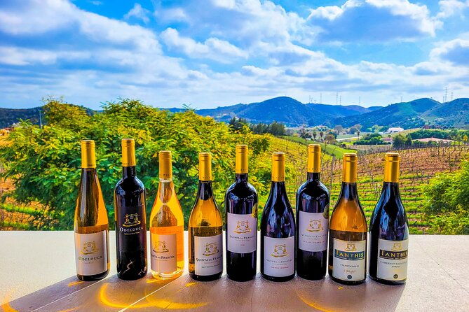 small-group-wine-tasting-tour-from-lagos