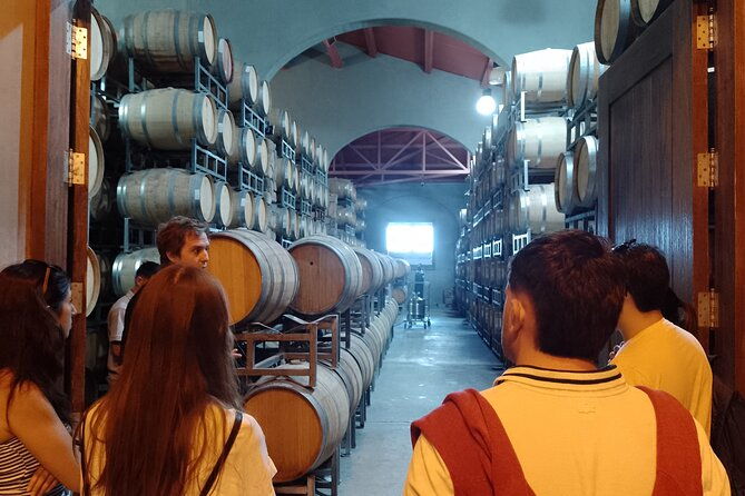 small-group-winery-tour-with-lunch-and-experiences