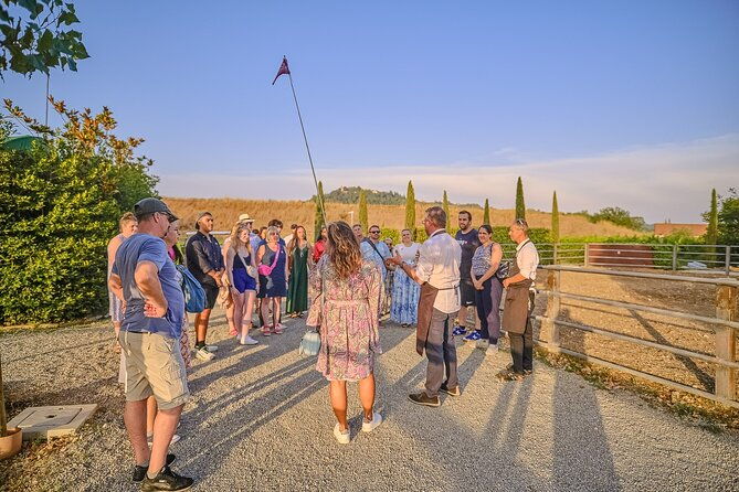 small-group-winery-tour-with-tasting-and-dinner-in-chianti-vineyards