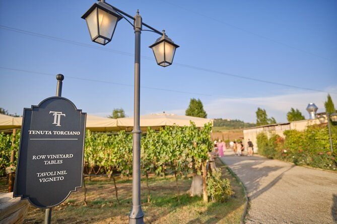small-group-winery-tour-with-tasting-and-dinner-in-chianti-vineyards