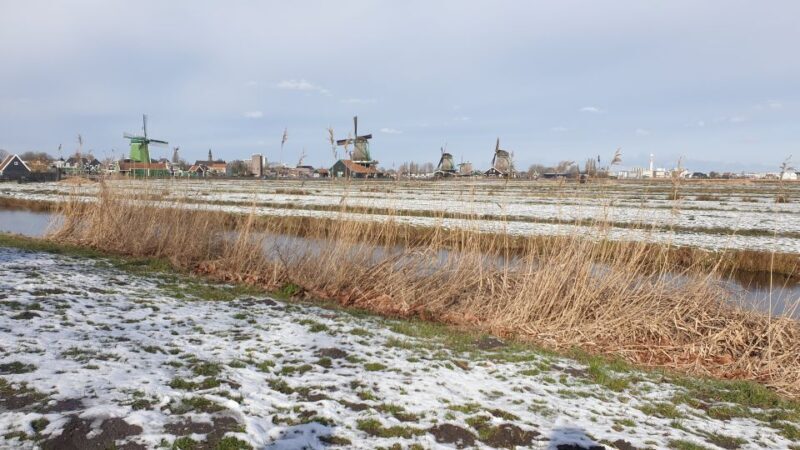 Small Group Zaanse Schans & Volendam Tour w/ Hotel Pick up - Exploring the Dutch Countryside in Comfort