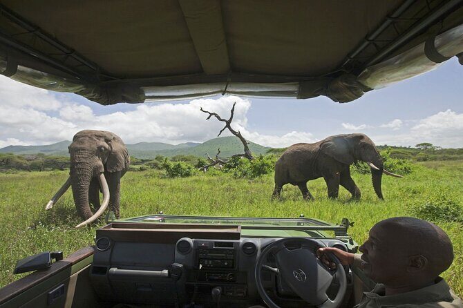 Small Group: Zambezi National Park Guided Game Drive - Practicalities and Considerations