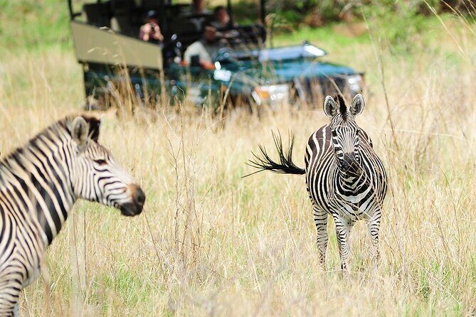 Small Group: Zambezi National Park Guided Game Drive - The Overall Value