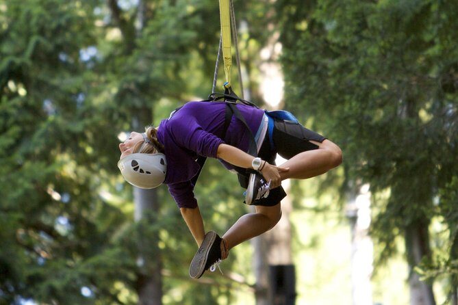 Small-Group Zipline Adventure in Queenstown - Authentic Review Snippets and Insights