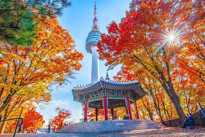 Small group(7pax) tour in Seoul including picking up(No shopping) - In-Depth Look at the Itinerary