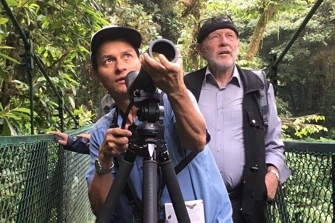 small-groups-birding-at-monteverde-cloud-forest