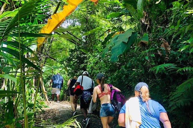 small-groups-el-yunque-waterslide-shopping-and-plus-beach