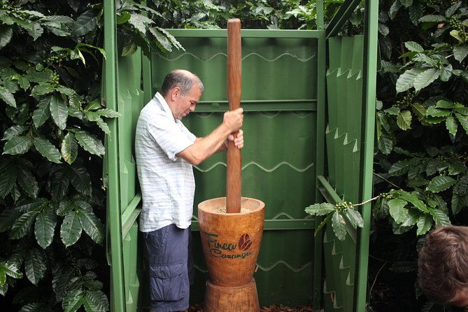 small-hands-on-coffee-tour