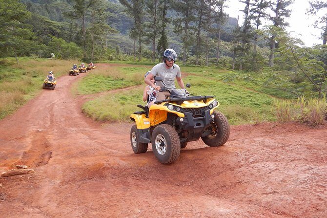 Small Quad Tour 2h30 Quad excursion in Moorea (single or two-seater) - Who Would Love This Tour?