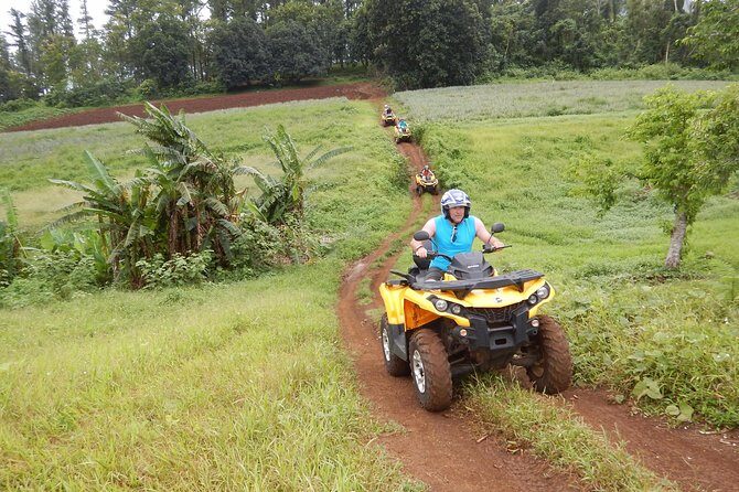 Small Quad Tour 2h30 Quad excursion in Moorea (single or two-seater) - Final Thoughts