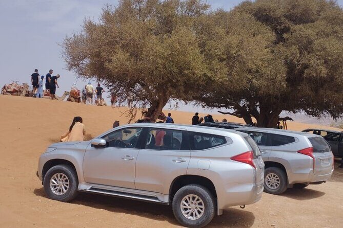 Small Sahara Private Day Tour - Key Points