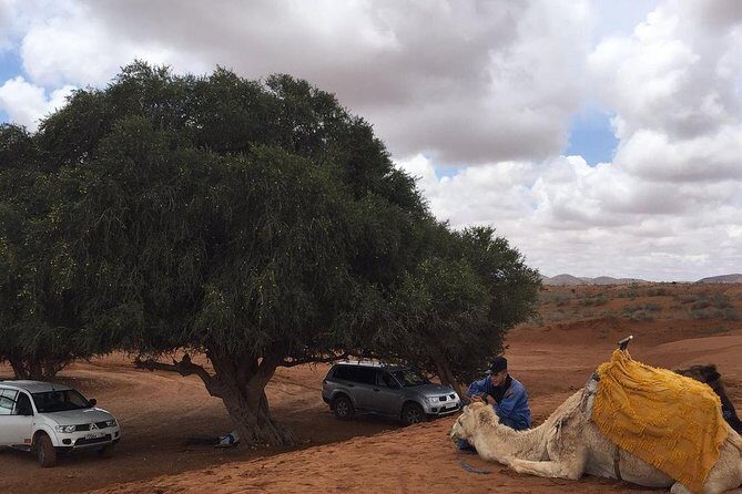 SMALL SAHARA & SILVER CITY- MASSA & TIZNIT IN 4x4 WITH LUNCH IN BERBER STYLE - What to Expect on the Tour