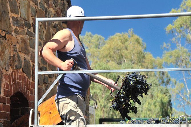 Small Tour Barossa Valley Voyager Tour from Adelaide - What Could Be Better?
