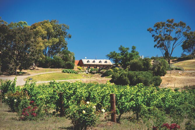 Small Tour Barossa Valley Voyager Tour from Adelaide - Frequently Asked Questions