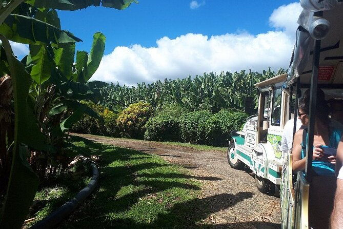 small-train-tour-of-a-banana-farm-in-martinique