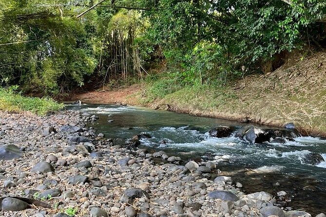 small-train-tour-of-a-banana-farm-in-martinique