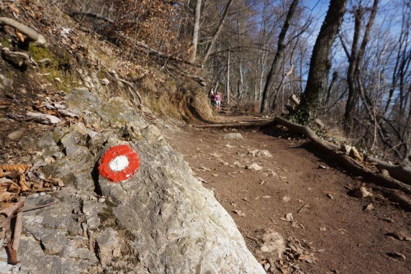 smarna-gora-hiking-and-food-tour-from-ljubljana
