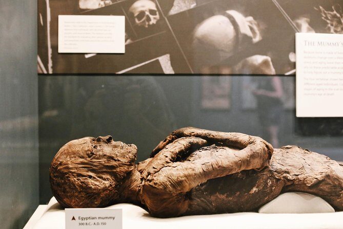 Smithsonian Museum of Natural History - Exclusive Guided Tour - The Sum Up