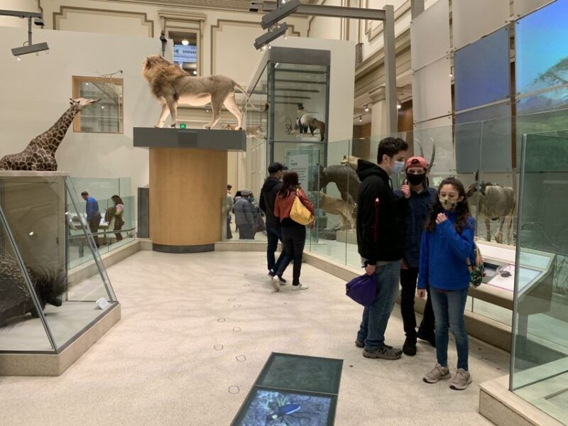 smithsonian-national-museum-of-natural-history-guided-tour