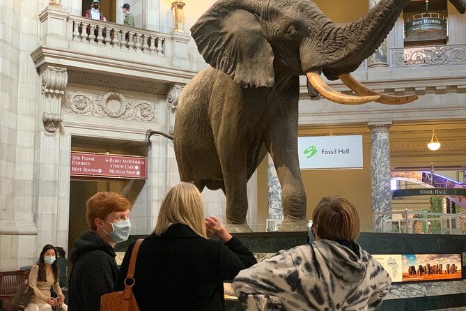 smithsonian-national-museum-of-natural-history-with-guided-tour