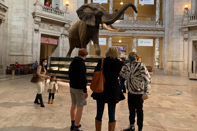 smithsonian-national-museum-of-natural-history-with-guided-tour