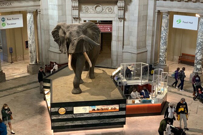smithsonian-national-museum-of-natural-history-with-guided-tour