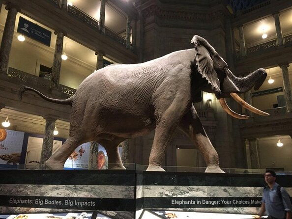 smithsonian-natural-history-american-history-exclusive-tour