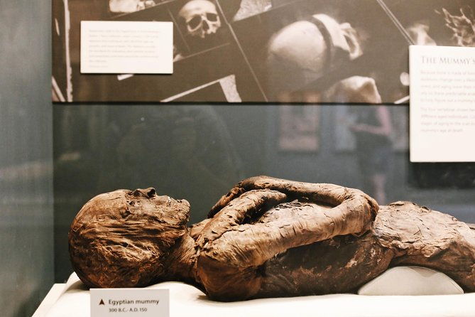 smithsonian-natural-history-american-history-semi-private-tour-2