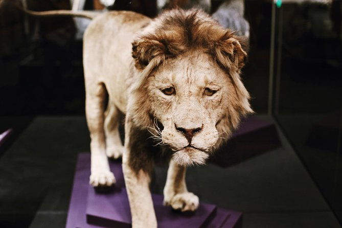 smithsonian-natural-history-american-history-semi-private-tour-2