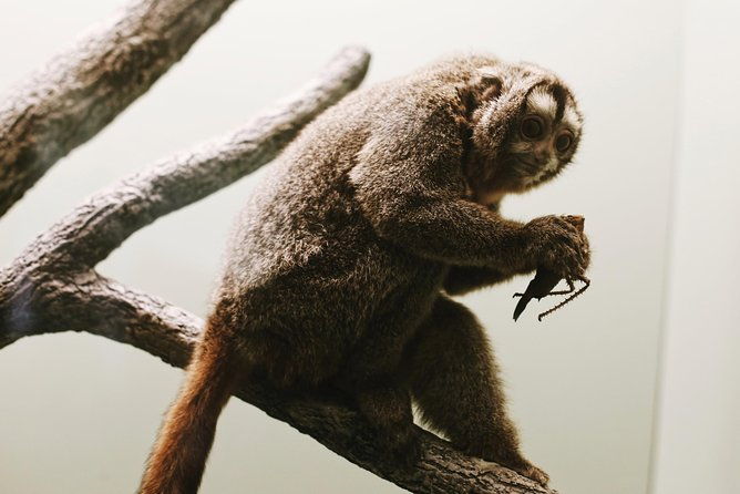 smithsonian-natural-history-american-history-semi-private-tour-2