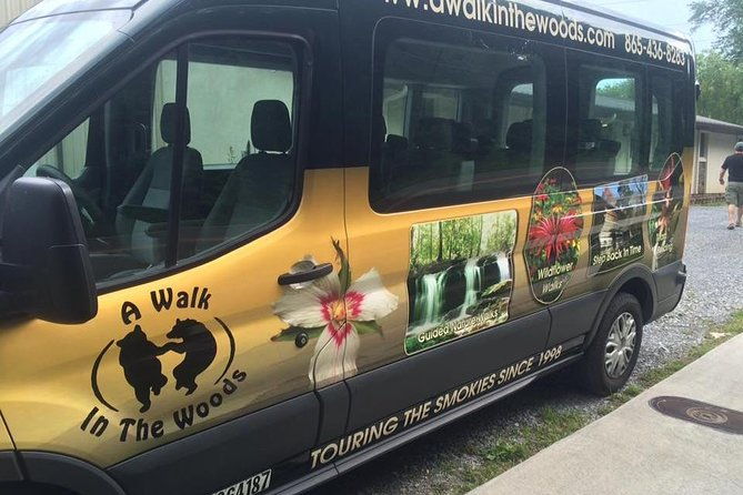 smoky-mountain-guided-scenic-high-van-tour
