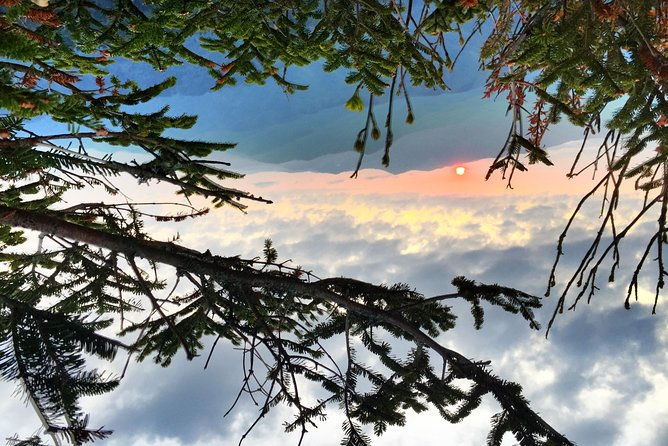 smoky-mountain-guided-scenic-high-van-tour
