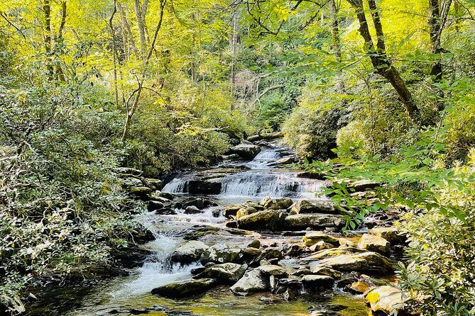 Smoky Mountains Newfound Gap Jeep Tour - Who Would Love This Tour?