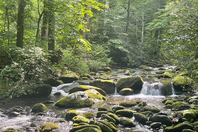 Smoky Mountains Roaring Fork Guided Sightseeing Tour by Jeep - Key Points  