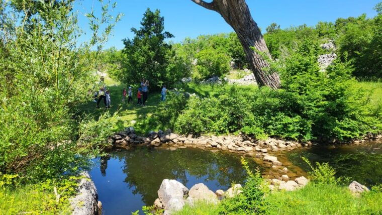 smrika-near-rijeka-krk-crikvenica-donkey-farm-entry-ticket