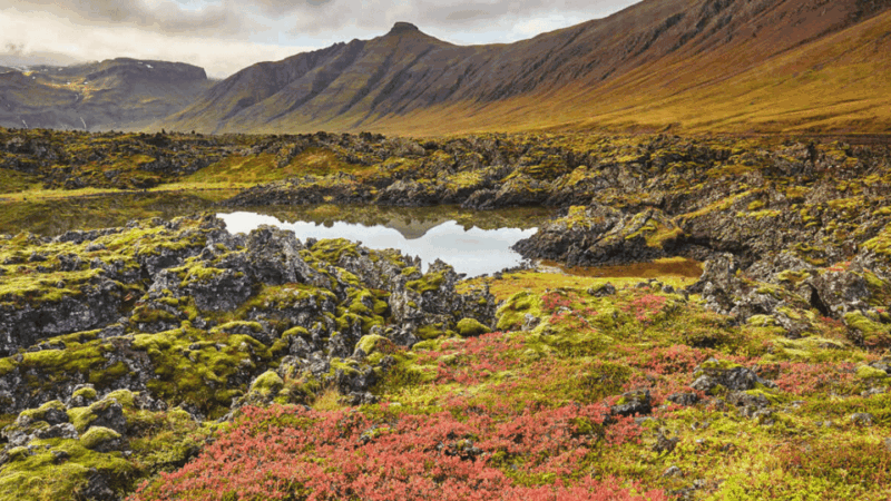 snaefellsnes-peninsula-wonders-private-tour-from-reykjavik