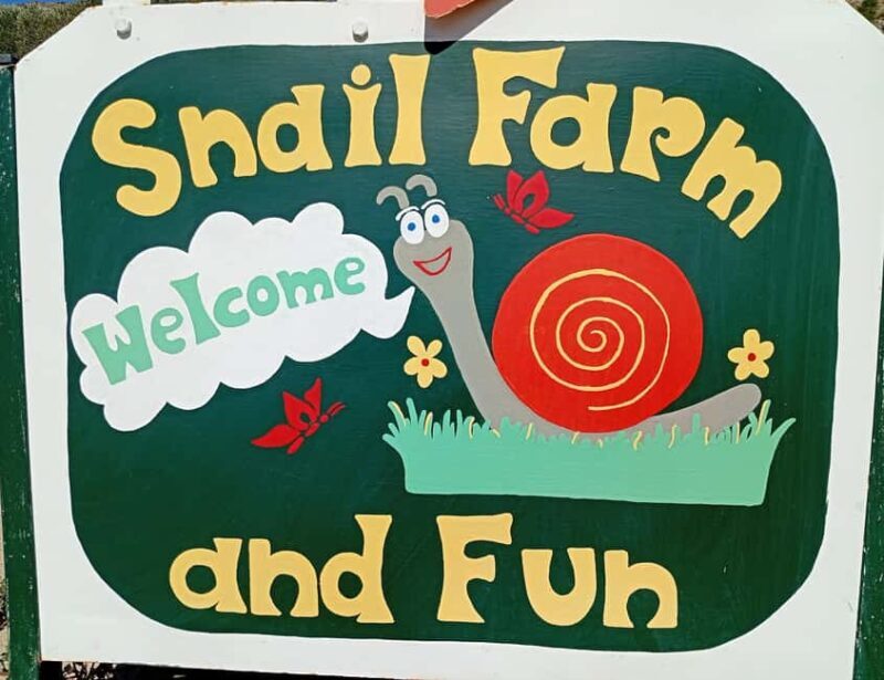 Snail and olive farm tour with table olives & homemade sweet - Who Will Love This Experience?