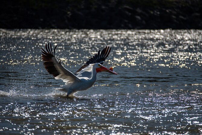 snake-river-scenic-float-private-guided-tour