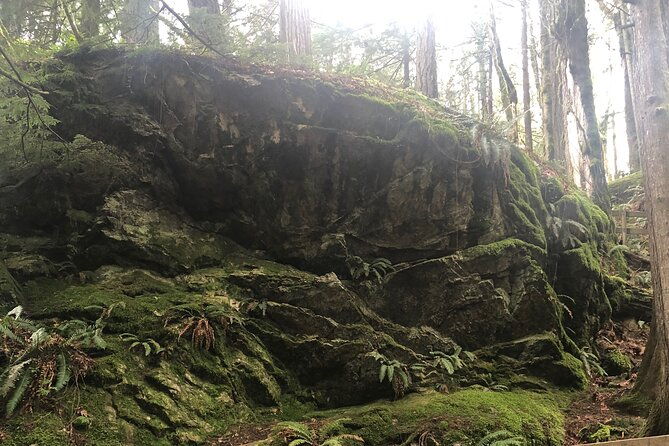 snoqualmie-falls-and-twin-falls-hike