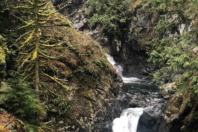 snoqualmie-falls-and-twin-falls-hike