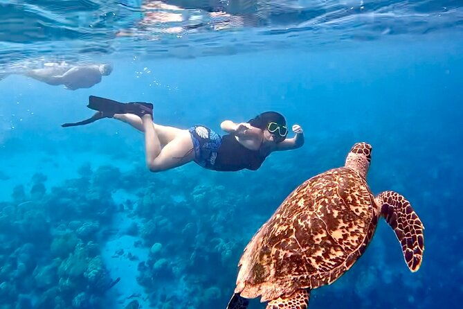 snorkel-adventure-at-bonaire-marine-park