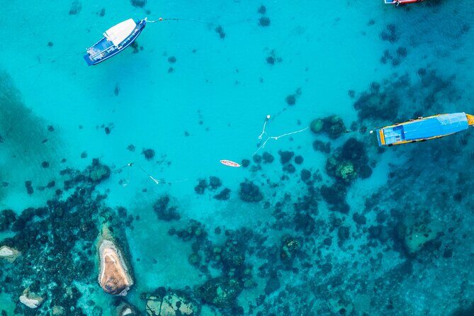 Snorkel Adventure to Ko Tao and Ko Nang Yuan from Ko Samui - Frequently Asked Questions