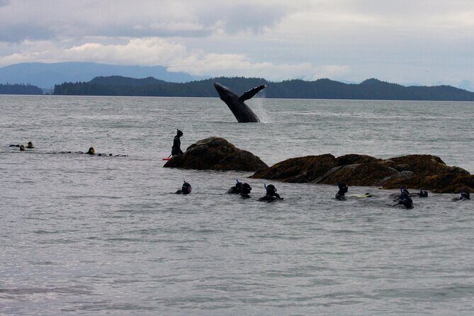 Snorkel Alaska - FAQ