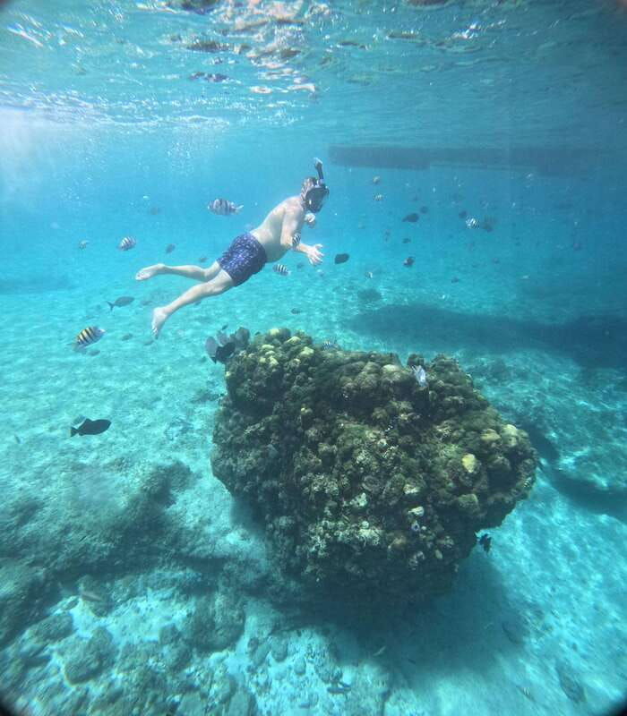 snorkel-along-the-coast-with-chivis-del-mar