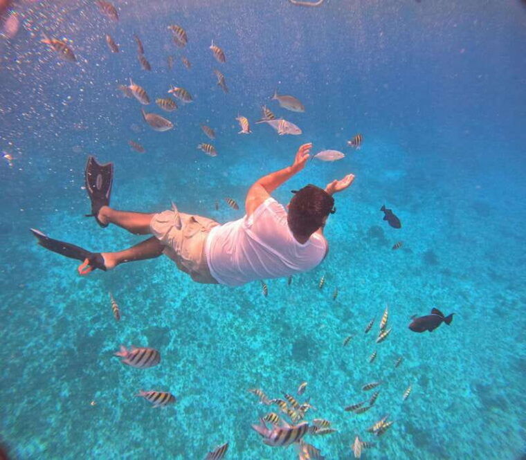 snorkel-along-the-coast-with-chivis-del-mar