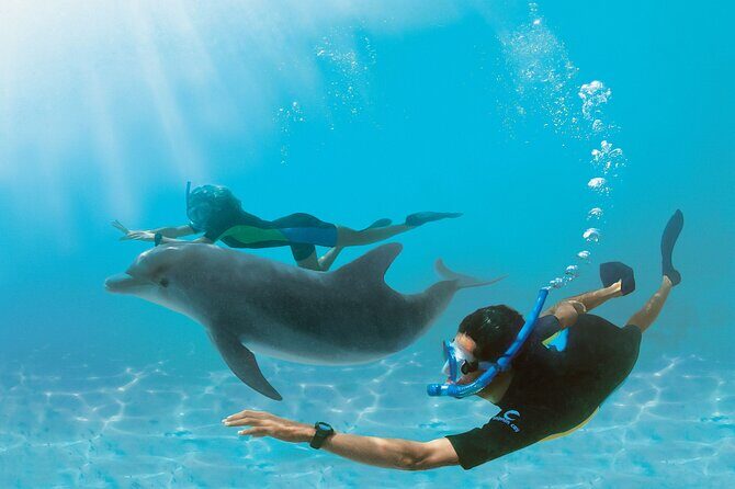 Snorkel at The Dolphin House Adventure In Hurghada - A Closer Look at the Itinerary: What to Expect