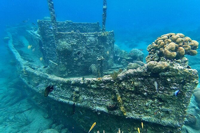 snorkel-boat-trip-sunken-ship-old-dutch-fort-spanish-bay