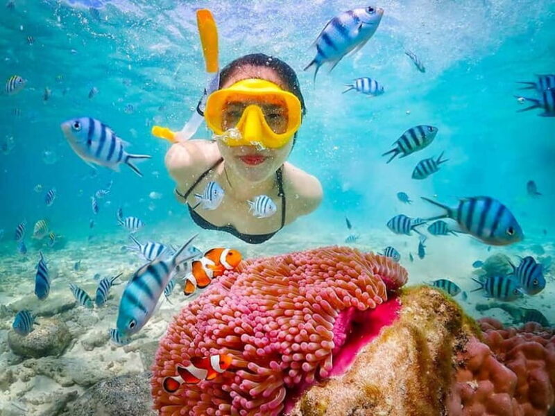 Snorkel & Chill: Nemo Island Trip from Pattaya - An In-Depth Look at the Nemo Island Snorkeling Experience