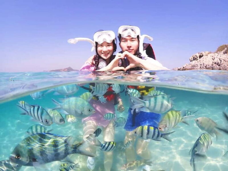 Snorkel & Chill: Nemo Island Trip from Pattaya - The Price and Value